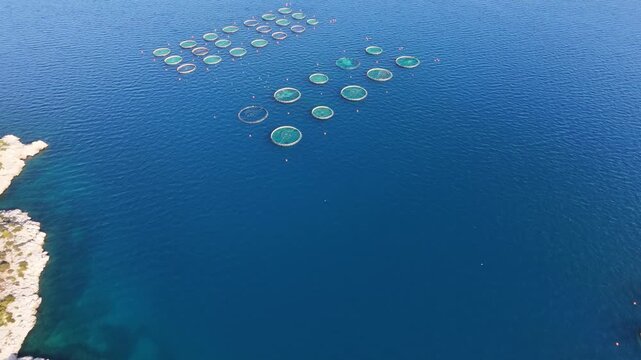 Fish farming (or pisciculture) is the commercial rearing of fish in controlled aquatic environments, such as artificial ponds.