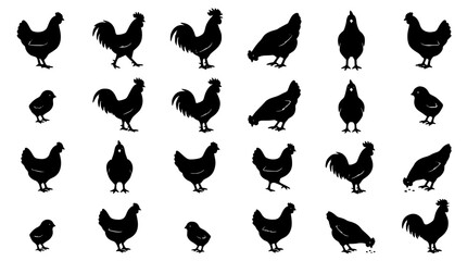 Chicken silhouette vector icon set featuring organic farm roosters hens and chicks in various poses © AlviAhmed