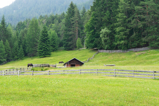 Summer alpine landscape in the Eastern Alps at the border between Italy and Austria
