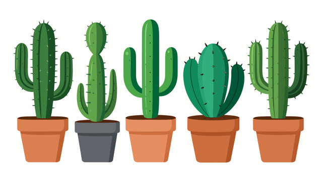 Five varieties of potted cacti in diverse terracotta pots showcasing vector illustration style