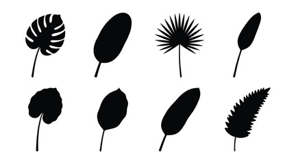 Single tropical leaf and forest fern silhouette vector set isolated on white background. Black botanical icons of exotic jungle palm fronds, monstera foliage, and banana tree shapes. © selena