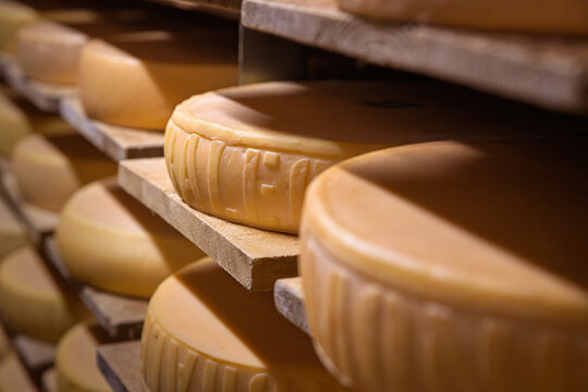 Fromage &agrave; raclette du Valais dans la cave d'une fromagerie d'alpage