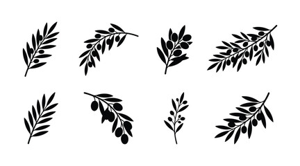 Olive branch and berry silhouette vector set isolated on white background. Black mediterranean plant icons of greece peace symbols and organic oil farm foliage elements. © selena
