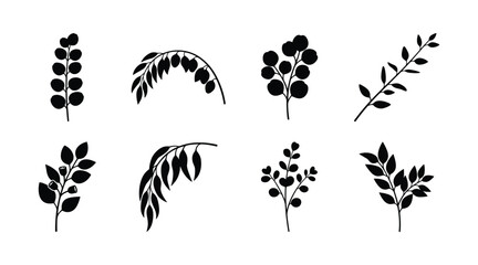 Black delicate eucalyptus branch and herb sprout silhouette vector set isolated on white background. Minimalist botanical sprigs of long willow foliage and aromatic plant elements. © selena