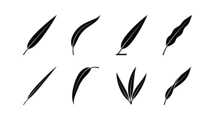 Black narrow eucalyptus leaf silhouette vector set isolated on white background. Minimalist botanical sprig icons of long willow foliage and aromatic herb plant elements. © selena