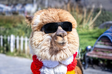 Fototapeta premium Stylish alpaca wearing oversized sunglasses and a colorful fluffy scarf posing outdoors in a playful and charming portrait scene