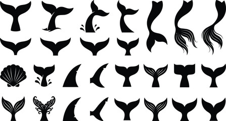 Whale tail and mermaid silhouette vector set with marine animal flukes and seashell elements © Mukta