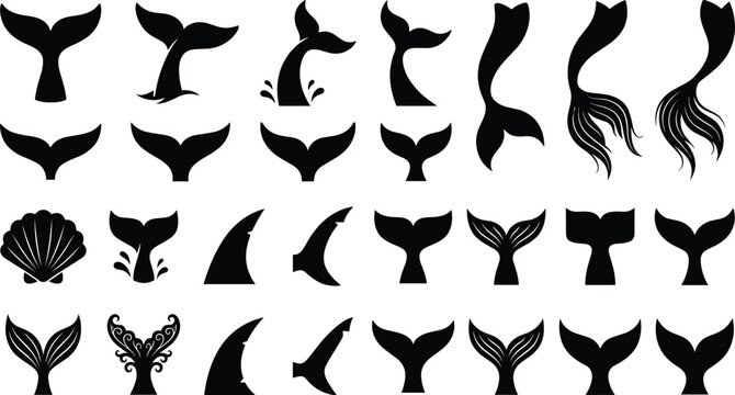Whale tail and mermaid silhouette vector set with marine animal flukes and seashell elements