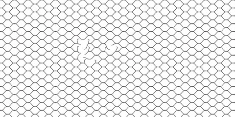 Mesh texture for fishing nets. Grunge pattern for sportswear or soccer goal, volleyball net, basketball hoop, hockey, athletics. Mesh background  eps 10 © Ubay