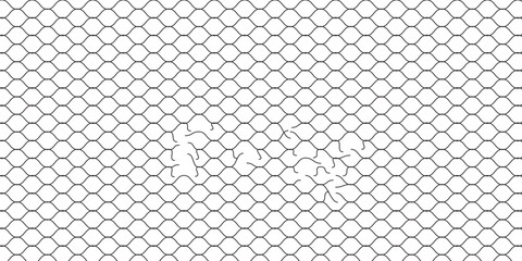 Mesh texture for fishing nets. Grunge pattern for sportswear or soccer goal, volleyball net, basketball hoop, hockey, athletics. Mesh background  eps 10 © Ubay