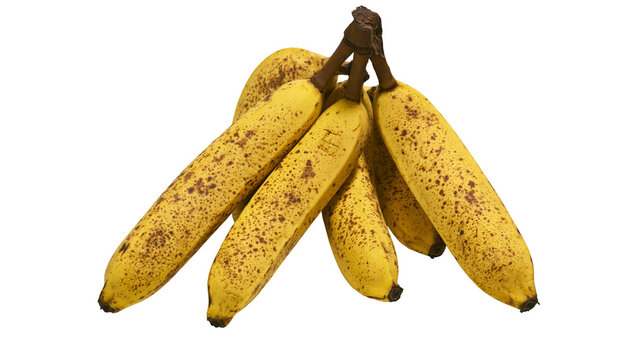 Bunch of ripe yellow bananas with brown spots, isolated on transparent background