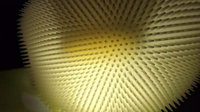 This macro abstract photograph captures a mesmerizing texture of a spiky surface. Featuring soft lighting and rhythmic patterns, it creates a modern, artistic background perfect for creative design pr