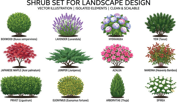 Garden shrub and flower set for landscape design vector illustration isolated elements