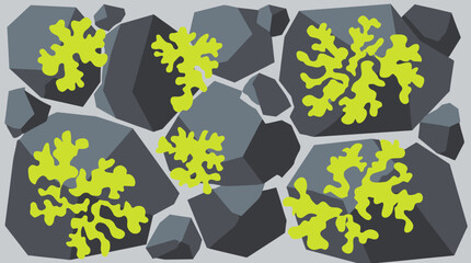 Flat vector illustration of green lichen growing on dark grey geometric stones. © Oktafianto