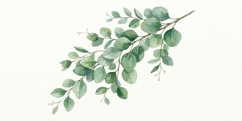 Single branch of green eucalyptus leaves painted in watercolor with hand painted plant life watercolor art green leaf © Manjur