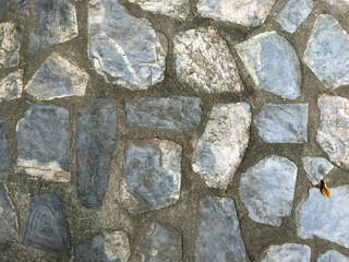 Fototapeta premium Leaf on brickbat floor background