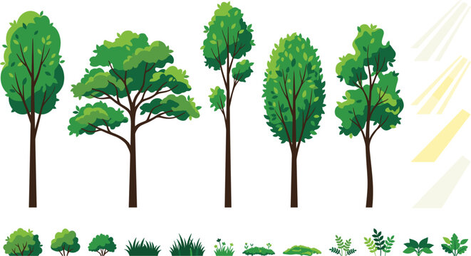 Green trees and vegetation landscape elements kit with sunbeams for game design vector illustration