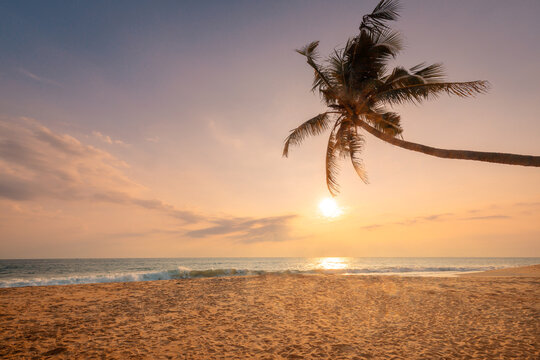 Idyllic sunset landscape of beautiful ocean beach with single coconut palm tree and bright shining sun. Sri Lanka.