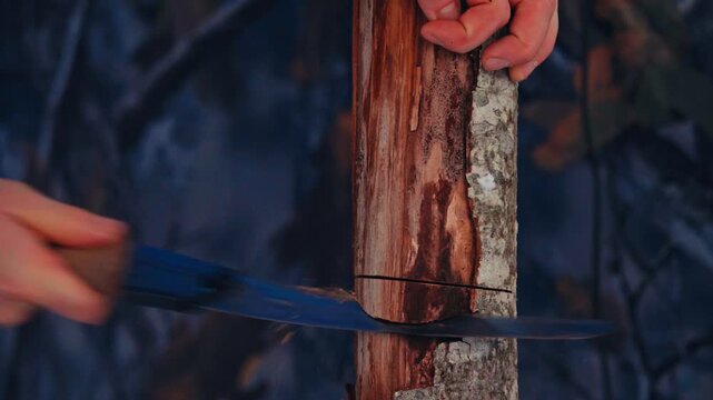 Person Using A Small Pruning Saw Outdoors. Close-up Shot