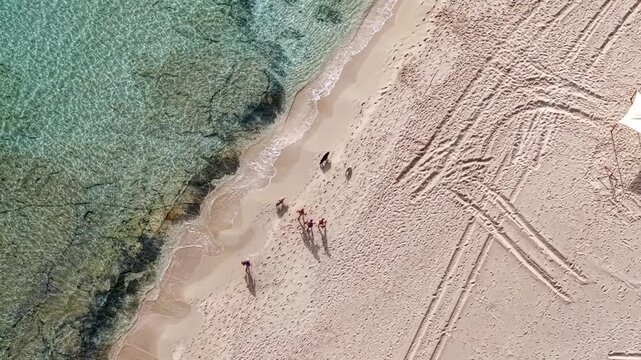People with dogs walking on beach shore, Simos beach, Elafonisos, Ionian Sea, Aerial view
