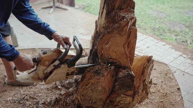 Worker Cutting Rotted Tree Stump With Chainsaw Near Garden Patio