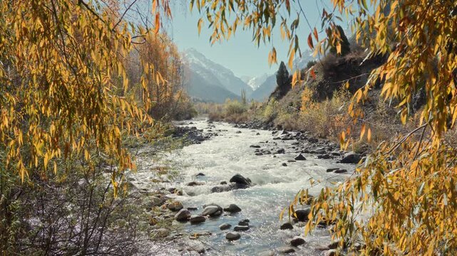 Mountain River Flowing Through Autumn Forest With Fall Foliage and Snow Capped Peaks in Countryside