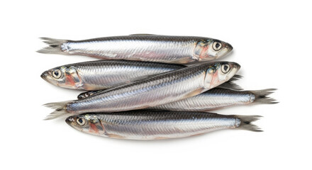 Fototapeta premium Fresh Anchovies isolated on white background, close-up studio shot
