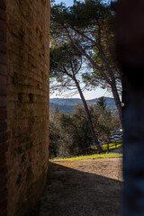 Obraz premium Shaded outdoor view through trees overlooking the Tuscan landscape and distant hills. A calm countryside scene with natural light and rustic atmosphere.