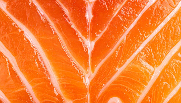 A detailed close-up shot of a fresh raw salmon fillet displaying vibrant orange flesh texture with distinct white fat marbling patterns arranged in a structured symmetrical compositi