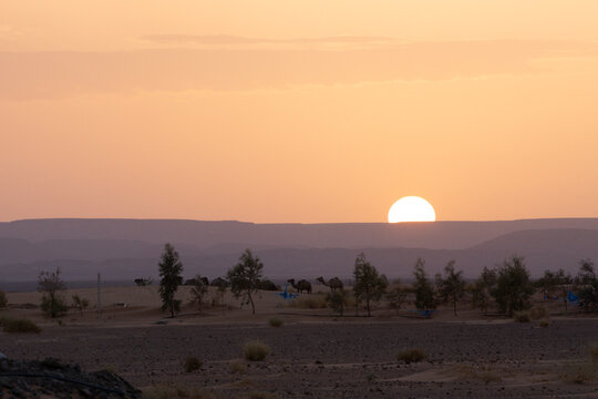 Morocco
 travel 