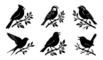 Fototapeta premium Small Songbird Silhouette Set with Singing Birds on Branches Editable Vector Collection