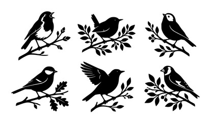 Fototapeta premium Black and White Songbird Silhouettes on Branches Nature Wildlife Vector Illustration Collection