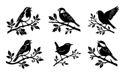 Singing Bird Silhouettes on Tree Branches Vector Collection for Nature and Wildlife Design © Emdadul