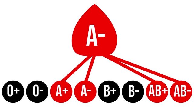 Blood Type A- Compatibility Flow Animation.