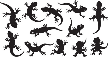 Obraz premium Black silhouettes of lizards in various poses on white background reptiles