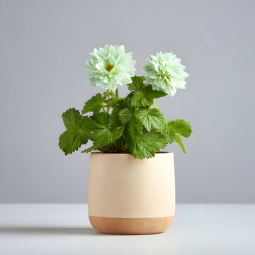 Elegant Flower Arrangements for Every Occasion