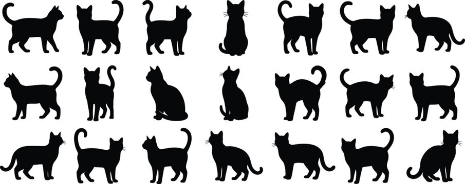 Halloween black cat silhouettes oct 31 decorations spooky design elements