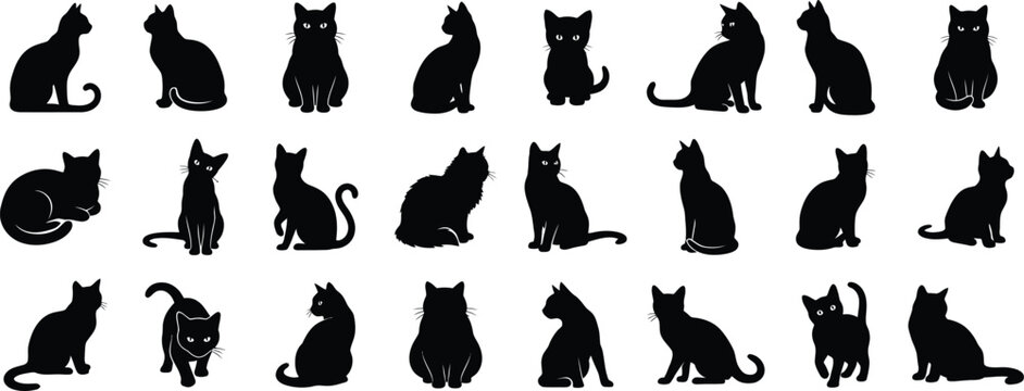 Halloween black cat silhouettes oct 31 decorations spooky design elements