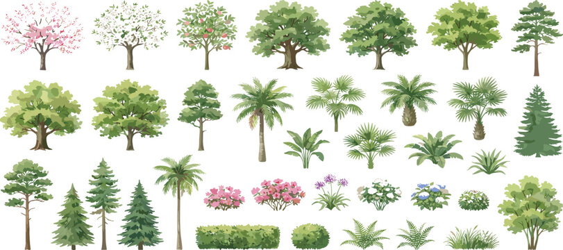 Diverse trees and plants vector set with palm pine cherry blossom foliage and garden shrubs
