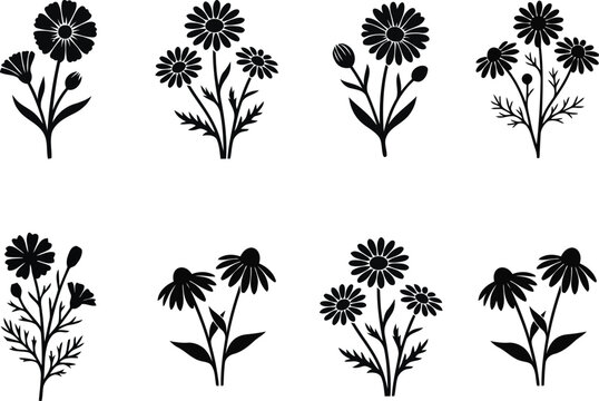 Wildflower Daisy and Botanical Flower Silhouette Set