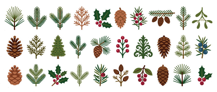 Collection of winter foliage illustrations featuring pine cones, fir branches, holly, berries, and mistletoe in a flat graphic style for festive holiday decoration