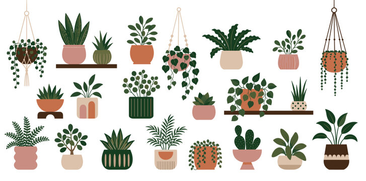 Collection of various illustrated houseplants in decorative pots and macrame hangers, showcasing a modern bohemian style with diverse foliage like succulents and ferns