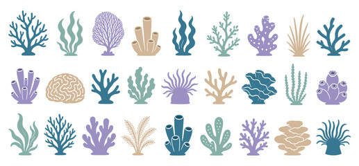 Fototapeta premium Large collection of colorful coral and seaweed illustrations in a flat, minimalist style, featuring various underwater plants like anemones and sponges in a decorative set