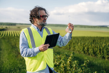 Fototapeta premium Middle-aged man in reflective safety vest examines flask while holding tablet in vineyard, rows of grapevines and green fields visible in the background