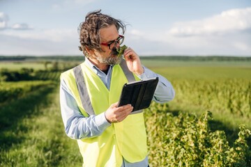 Fototapeta premium Middle-aged man wearing a reflective safety vest examines vineyard plants while holding a tablet, lush green fields and blue sky visible in the background