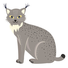 vector illustration of a cat lynx © ELINA