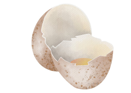 Cracked egg with soft light shining through the shell at morning time in a simple style