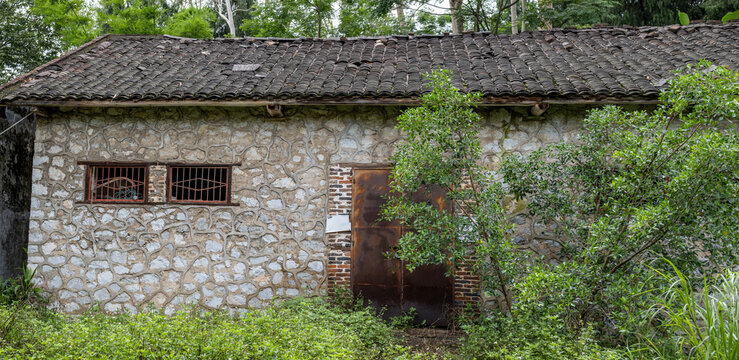 Abandoned stone and brick barn building overtaken by vegetation in a state-owned forest plantation in Guangxi China. Forgotten rural infrastructure. Agricultural heritage, rural depopulation, land use