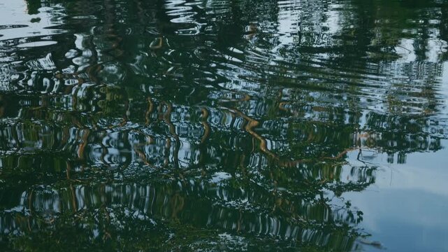Colorful tropical trees and sky reflecting in rippled pond water surface creating abstract impressionist green blue yellow pattern in park