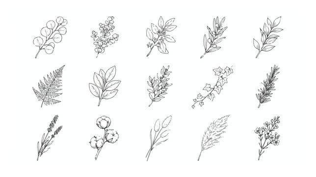 Hand drawn botanical leaf sketches, set of 15 minimalist floral line art icons, vintage garden foliage vector illustrations for wedding invitations